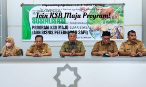 18 Kelompok Tani Ternak Siap Jalankan Program KSB Maju Luar Biasa Agribisnis Peternakan Sapi