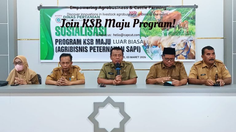 18 Kelompok Tani Ternak Siap Jalankan Program KSB Maju Luar Biasa Agribisnis Peternakan Sapi